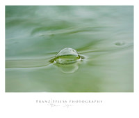 Wasser