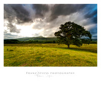 Landschaft