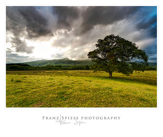 Landschaft